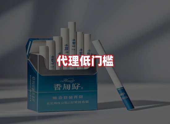 专业团队